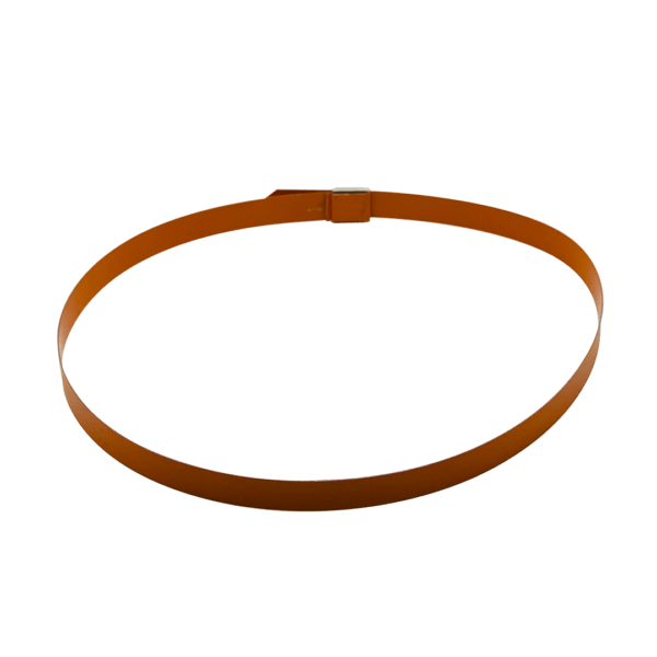 Colored Capillary Band with Buckle